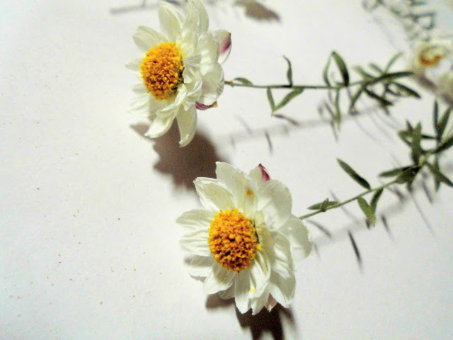 オリジナルドライ 花かんざし Commeil Decor コミールデコル オリジナルドライ 花かんざし Commeil Decor コミールデコル