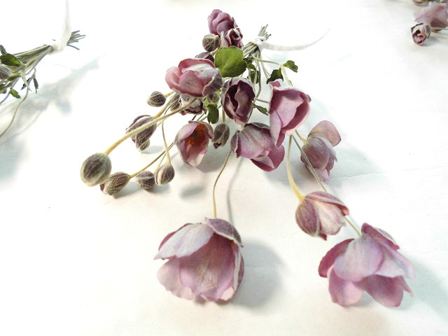 オリジナルドライ シュウメイギク 秋明菊 Commeil Decor コミールデコル オリジナルドライ シュウメイギク 秋明菊 Commeil Decor コミールデコル