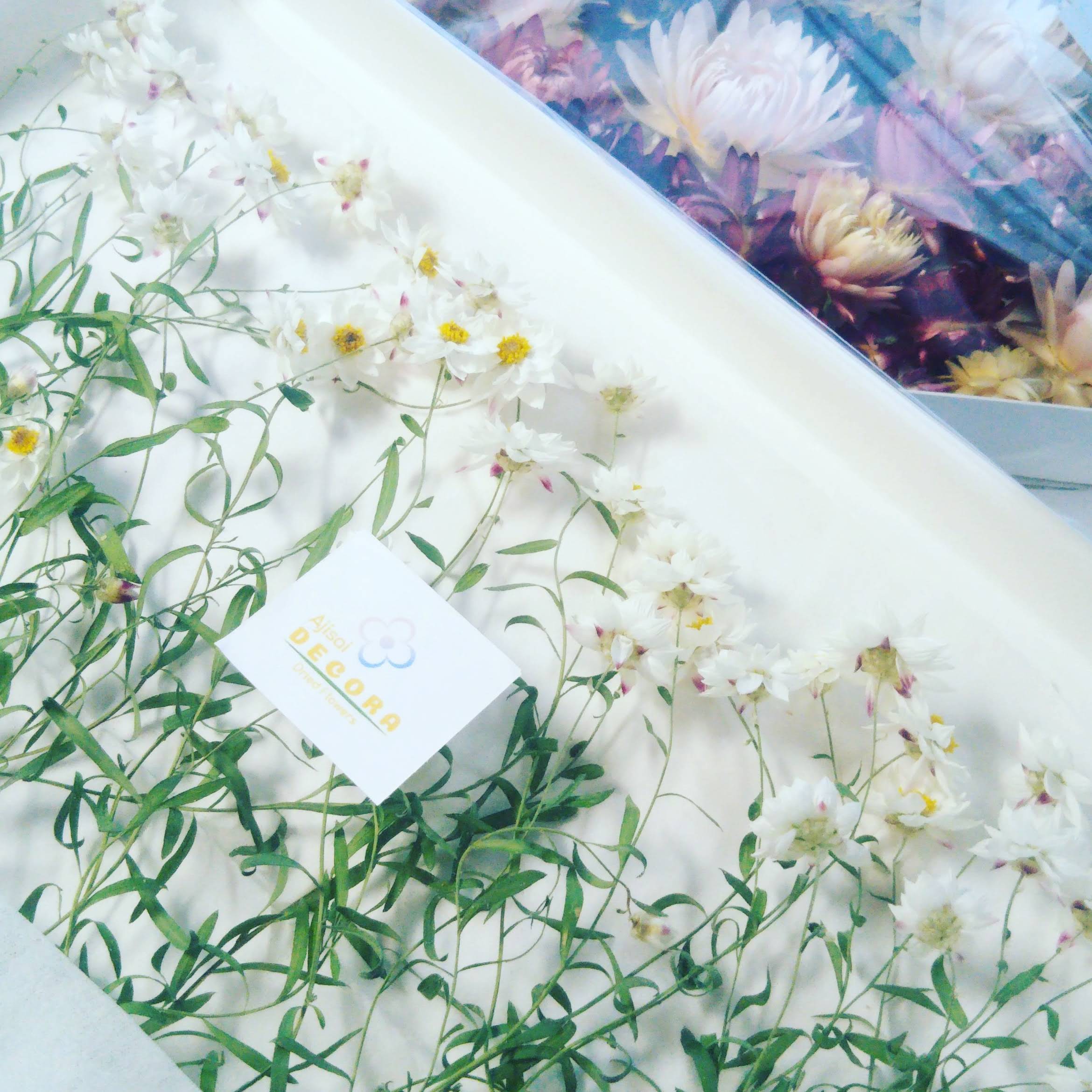 オリジナルドライ 花かんざし Commeil Decor コミールデコル オリジナルドライ 花かんざし Commeil Decor コミールデコル