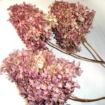 07-108