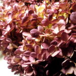 07-108