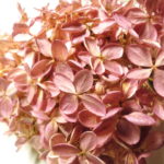 07-108