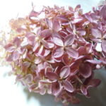 07-108