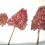 07-108
