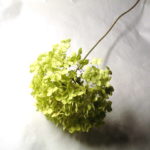 07-110