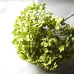 07-113