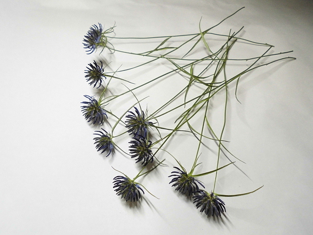 05-1007