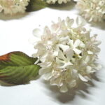 05-1002
