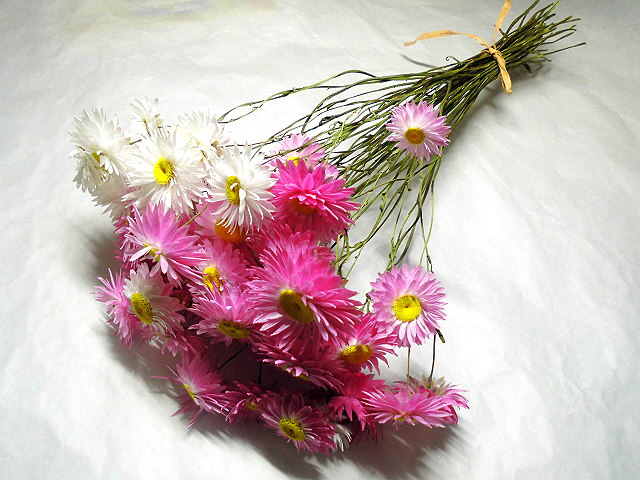 05-1004