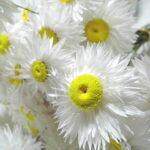07-1004