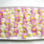 07-1004